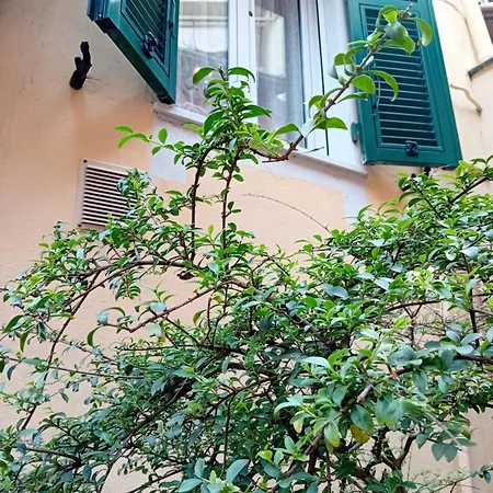 Casa Il Vicolo Cinque Terre