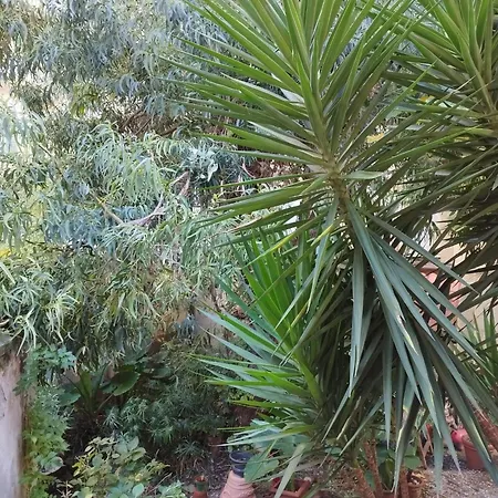 Appartamento Casa Il Vicolo Cinque Terre La Spezia