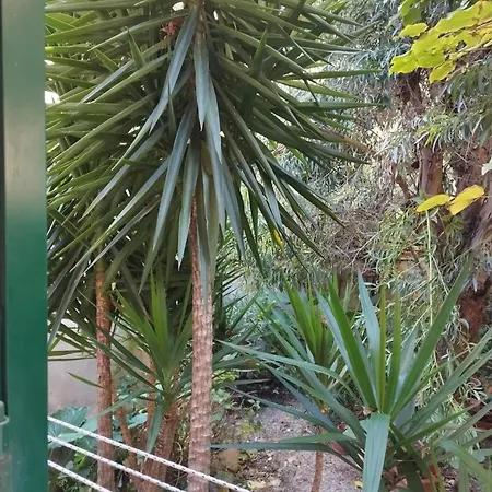 Casa Il Vicolo Cinque Terre Apartment La Spezia